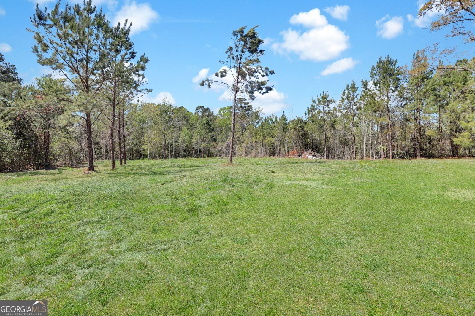 636 Highway 80 Ellabell - 36