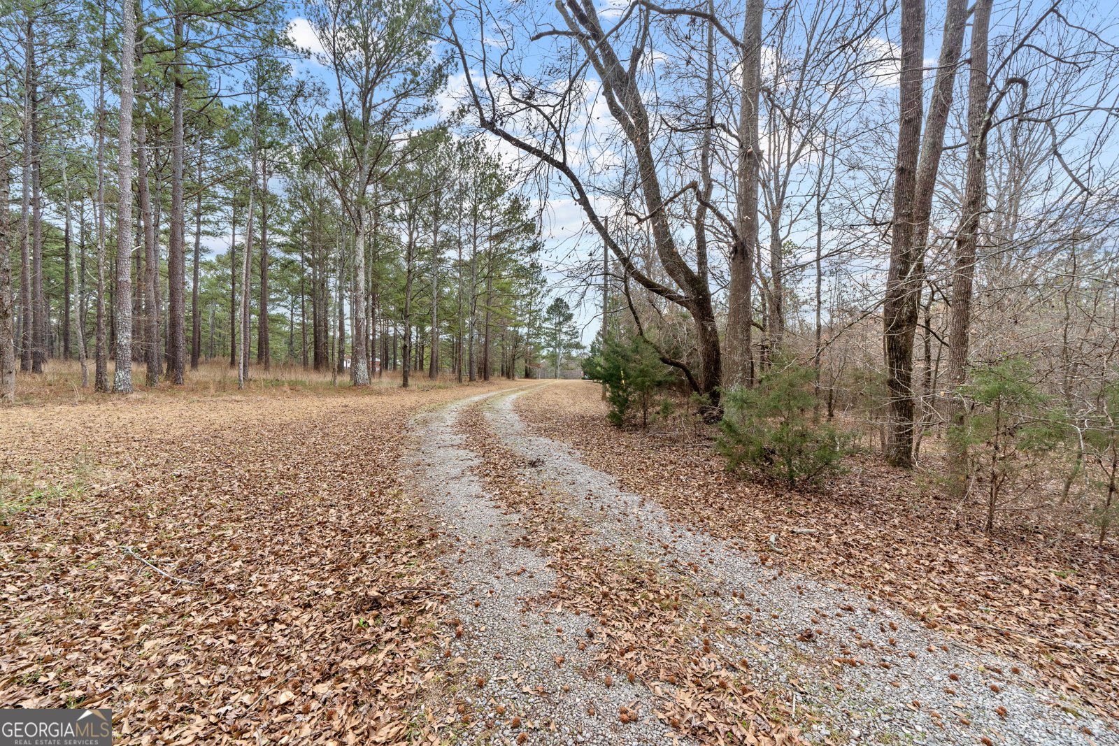 1041 Holstein Road Buckhead - 36