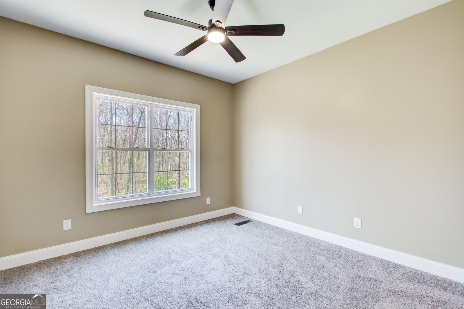 384 Minix Road Sharpsburg - 30