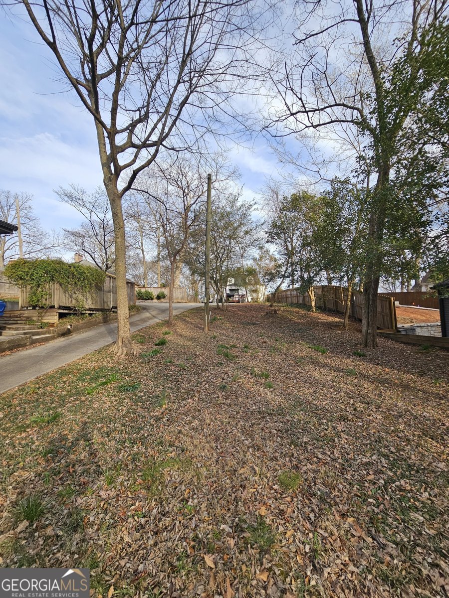 1413 Lanier Place Atlanta - 4