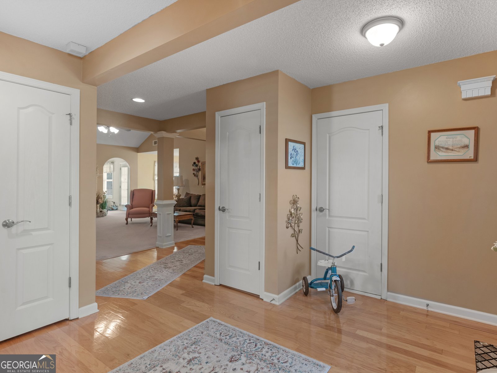 509 Carleton Place Locust Grove - 10