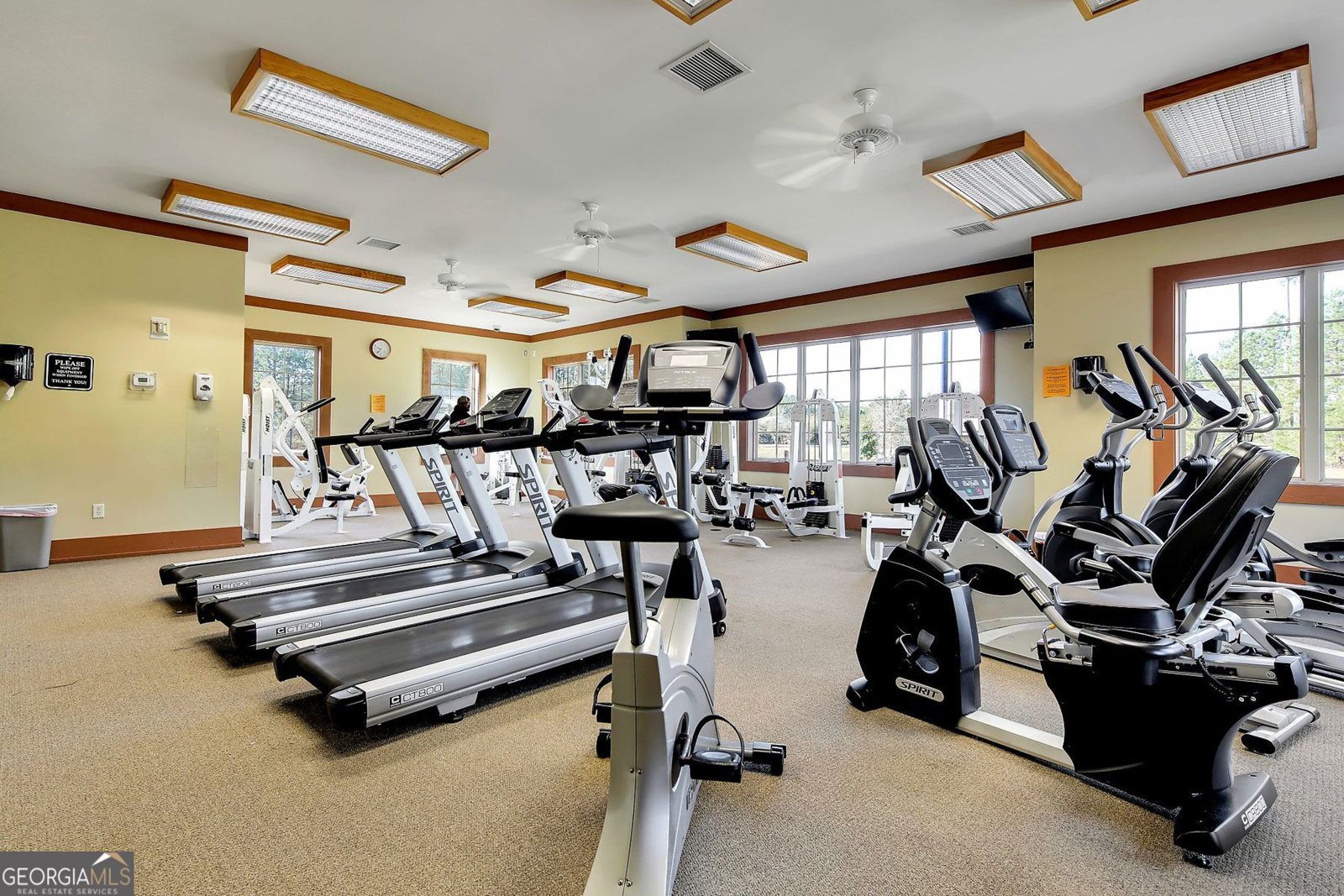 125 Grimsby Road Savannah - 55