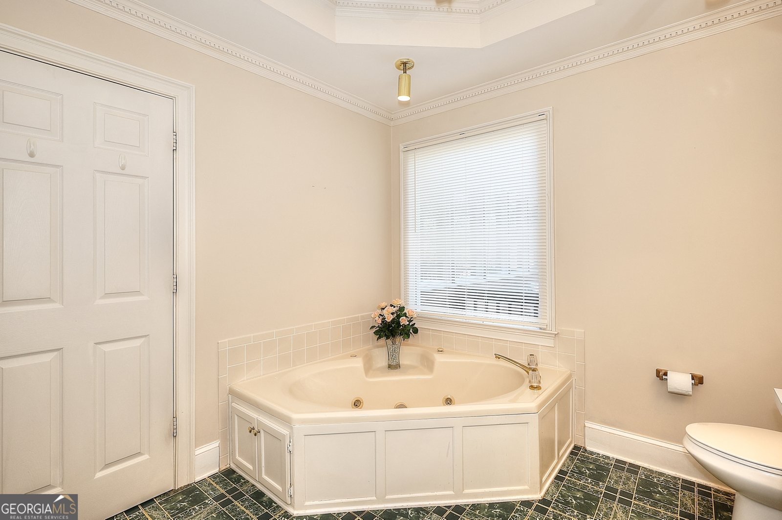 3889 Pineybrook Drive Loganville - 33