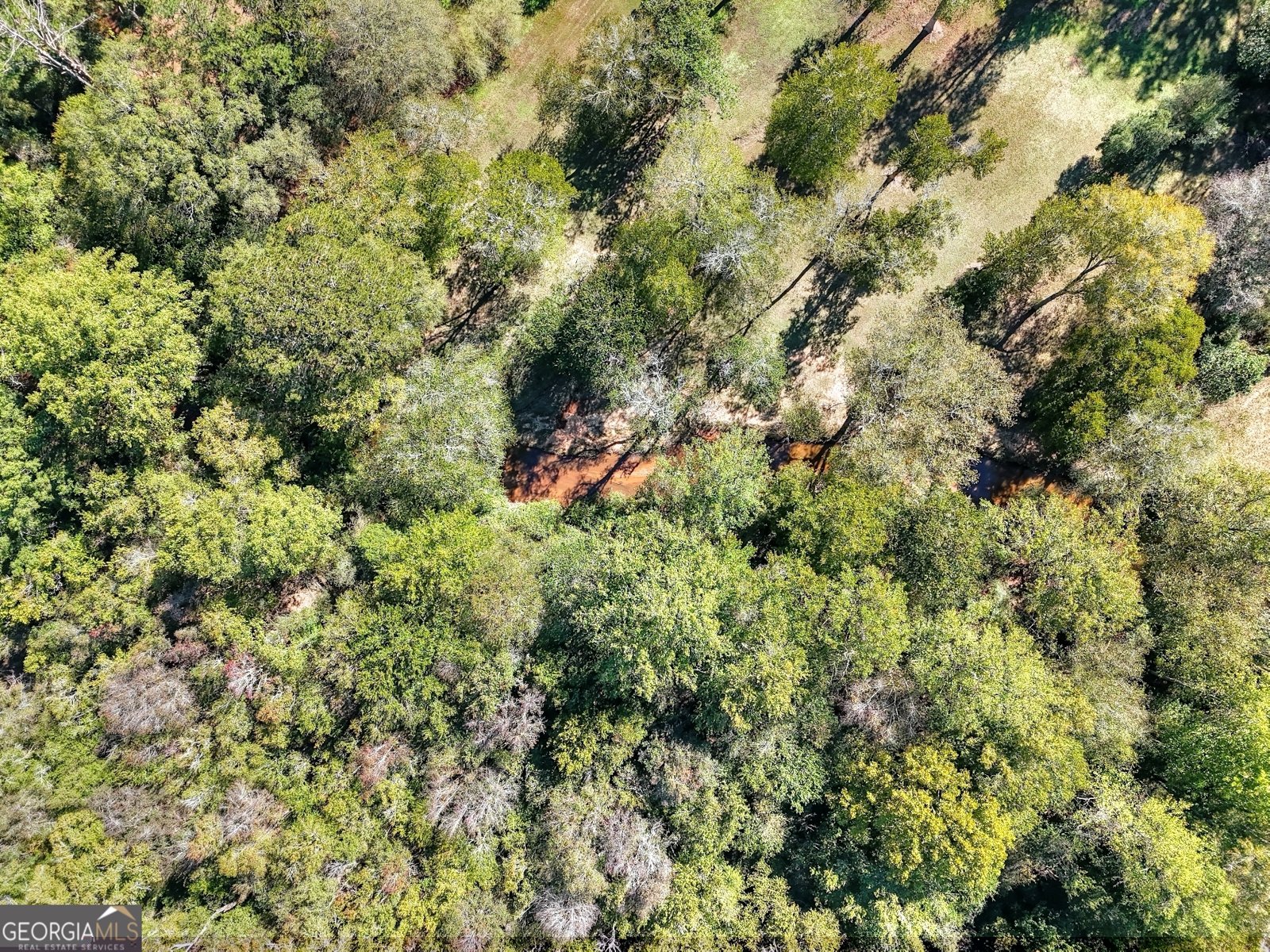 3889 Pineybrook Drive Loganville - 9