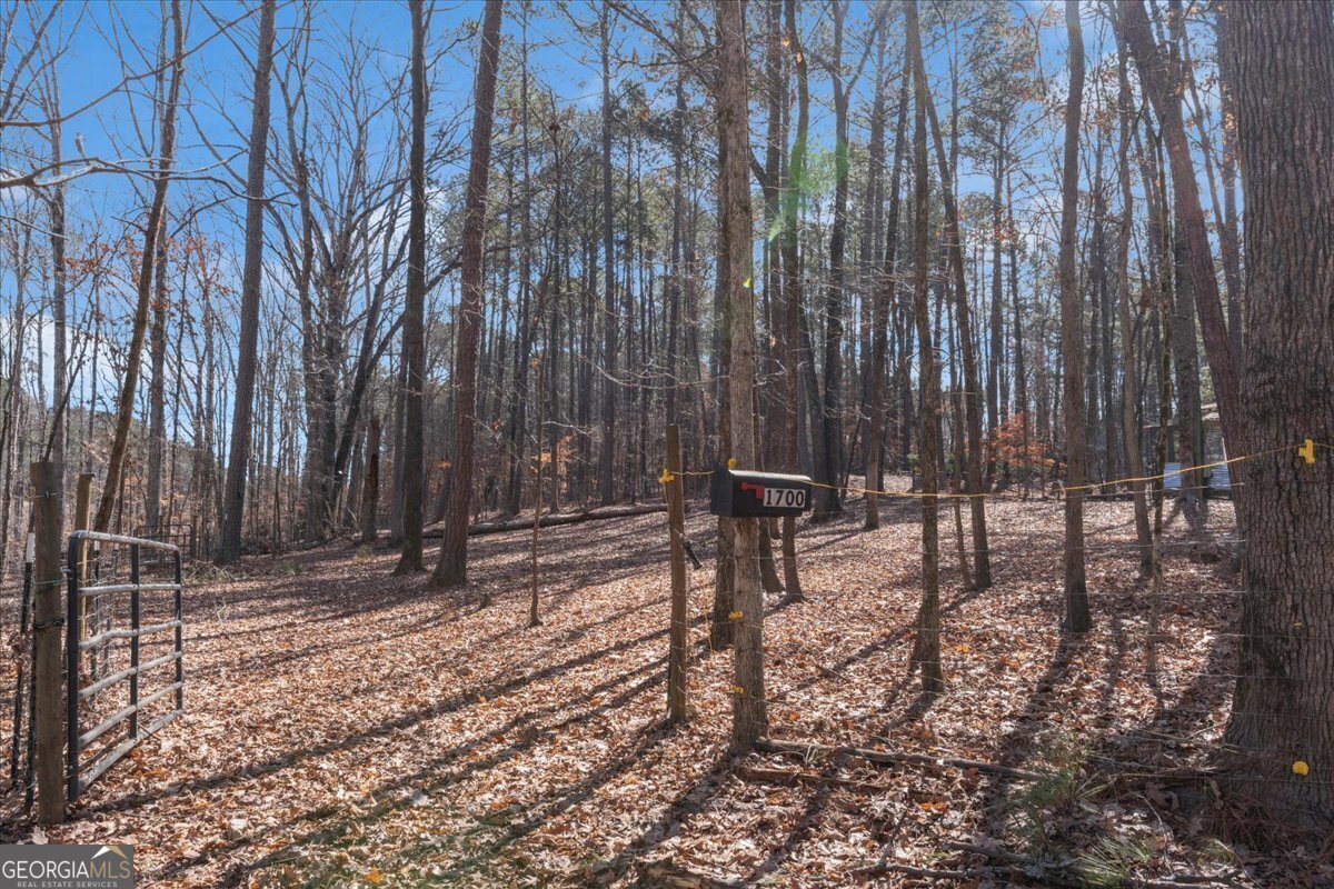 1700 Bailey Creek Road Conyers - 12