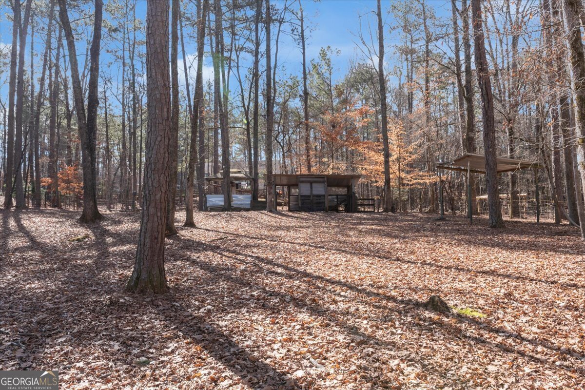1700 Bailey Creek Road Conyers - 13