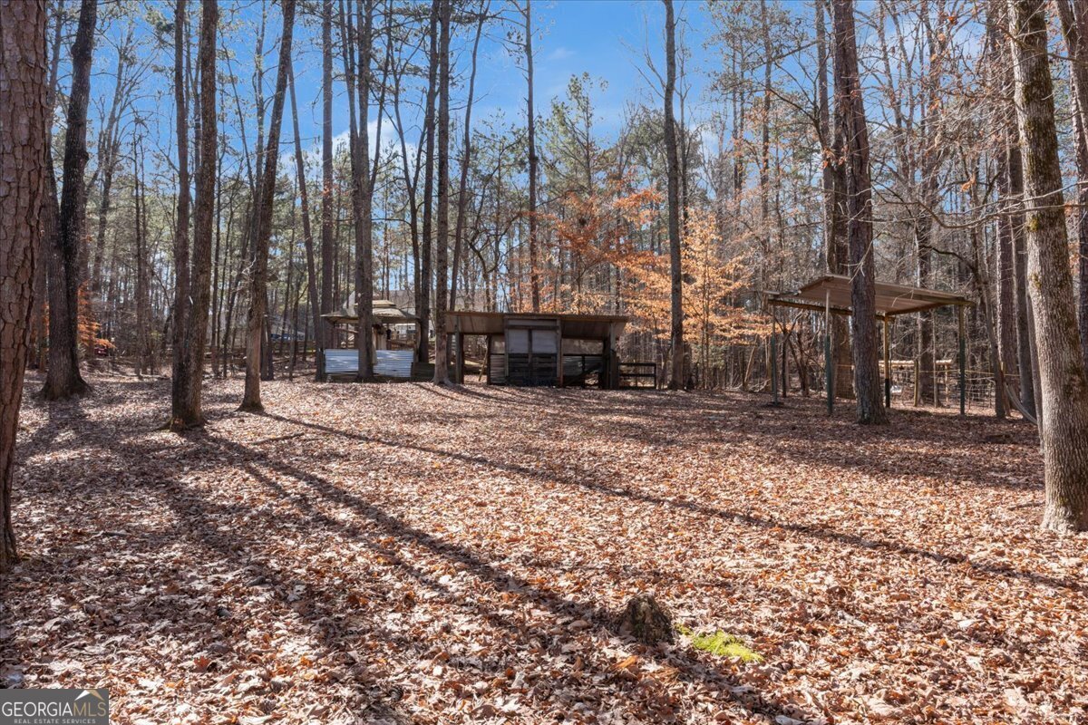1700 Bailey Creek Road Conyers - 14