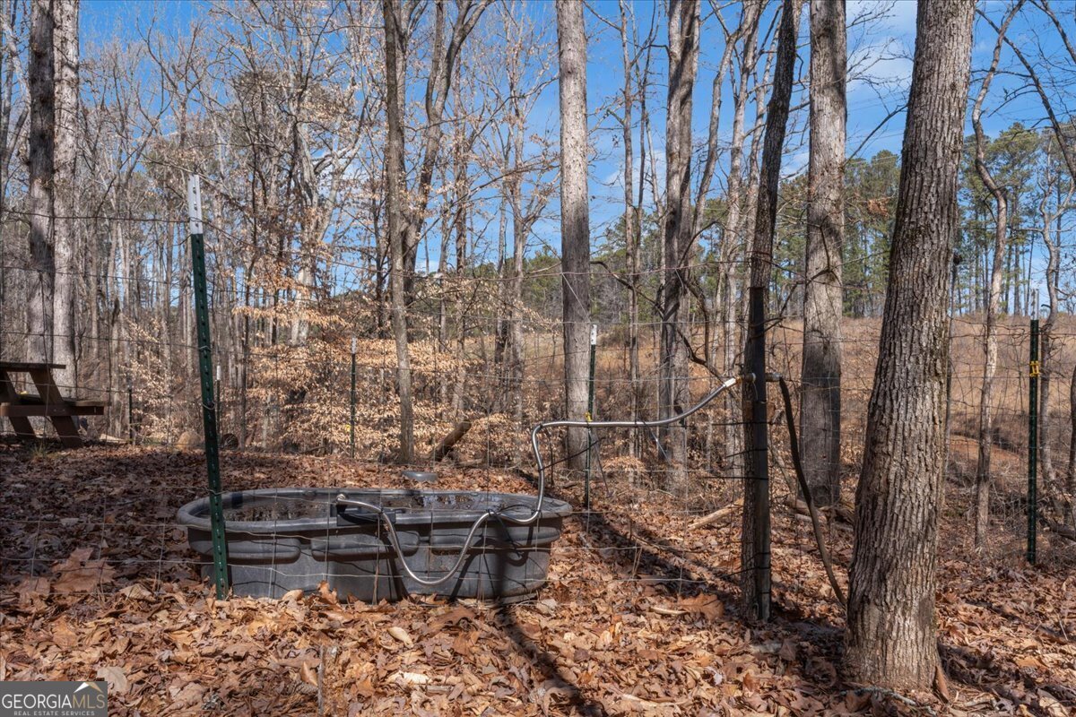 1700 Bailey Creek Road Conyers - 15