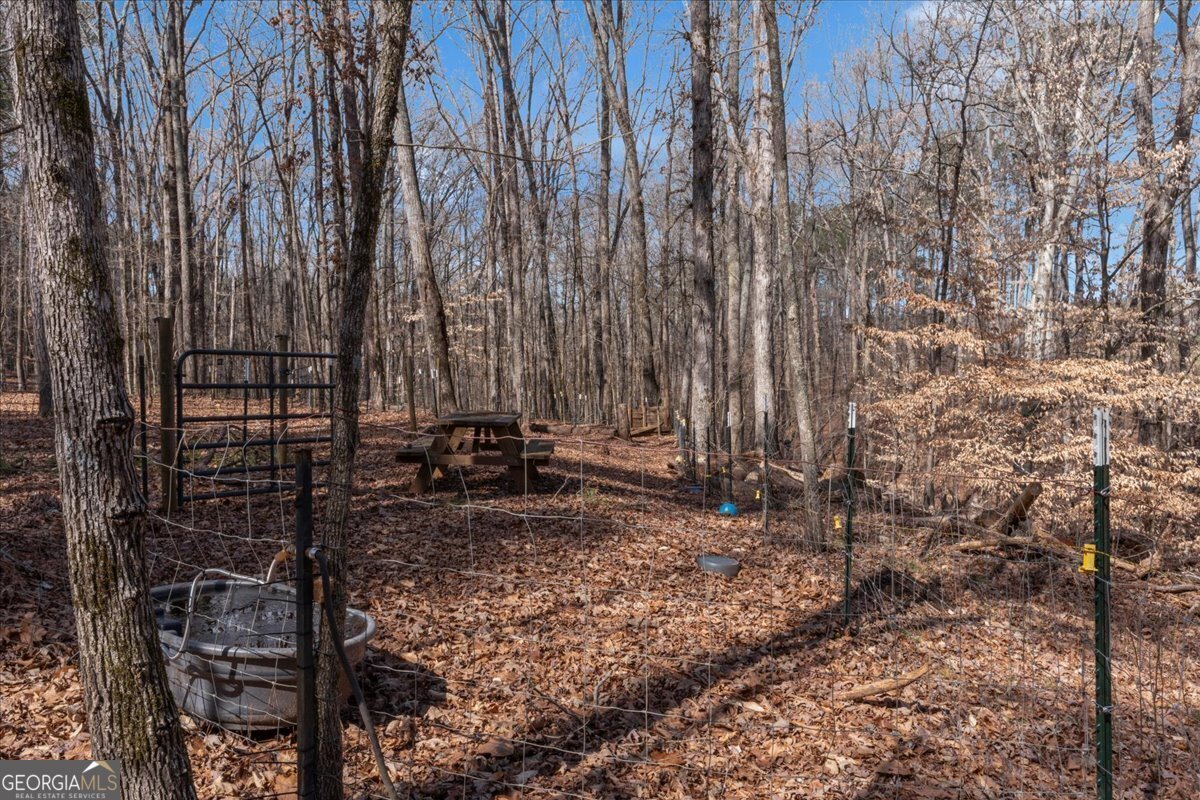 1700 Bailey Creek Road Conyers - 16