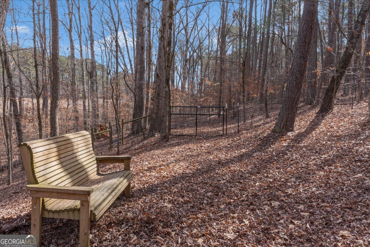 1700 Bailey Creek Road Conyers - 17