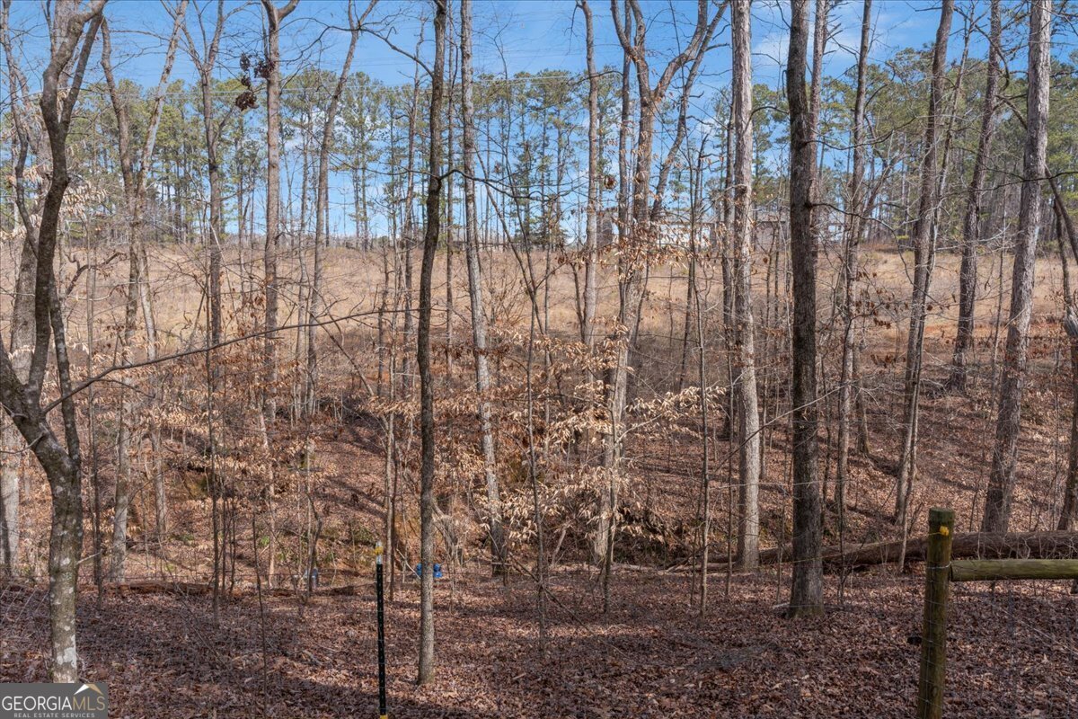 1700 Bailey Creek Road Conyers - 18