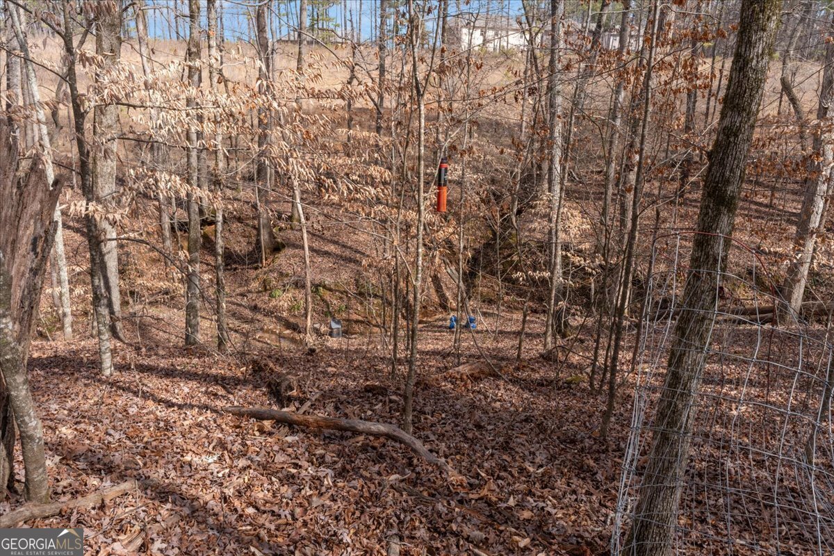 1700 Bailey Creek Road Conyers - 19