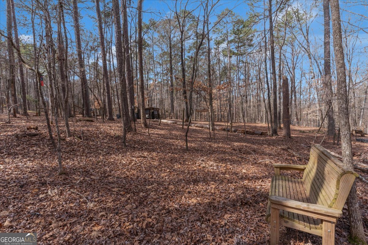 1700 Bailey Creek Road Conyers - 20