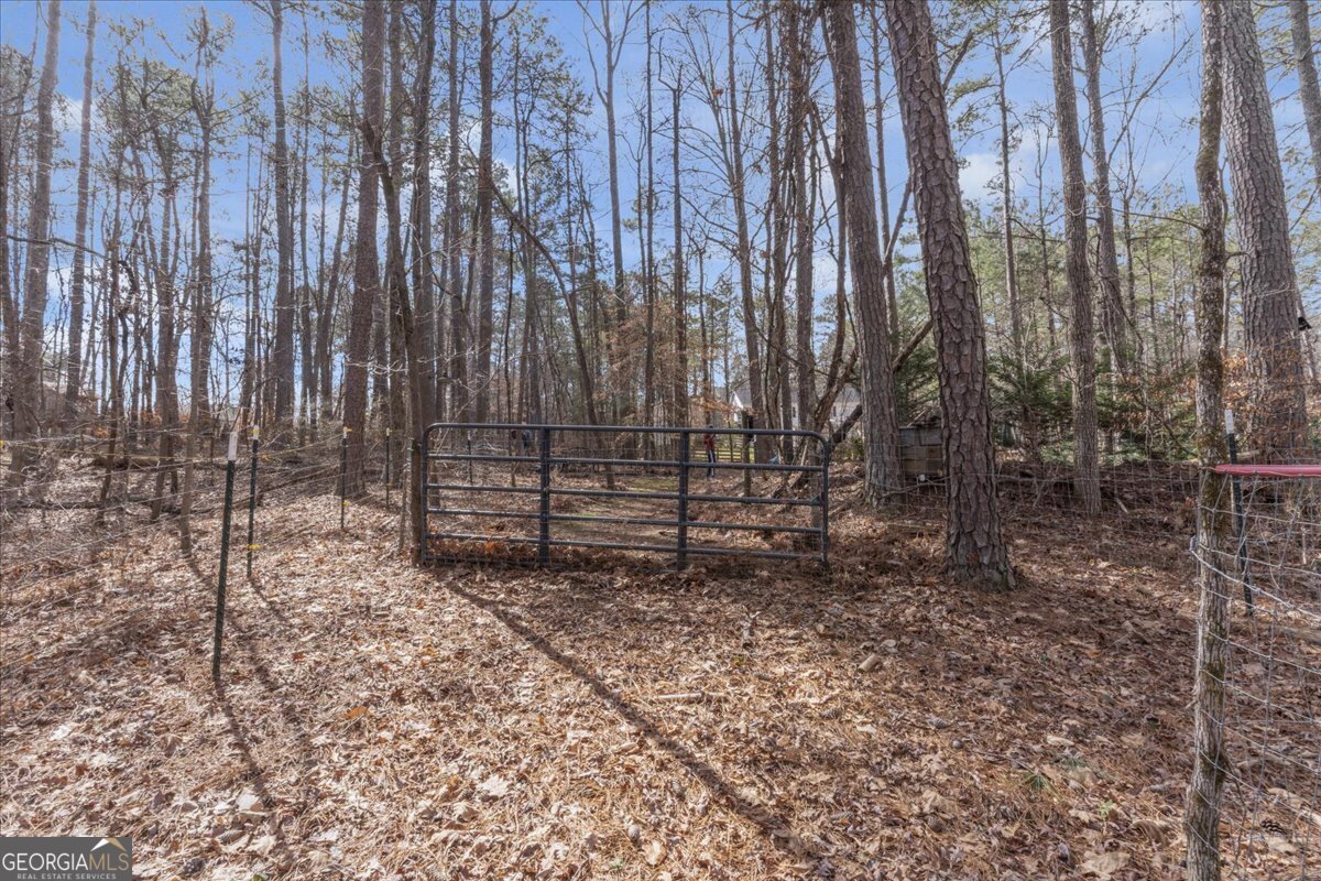 1700 Bailey Creek Road Conyers - 22