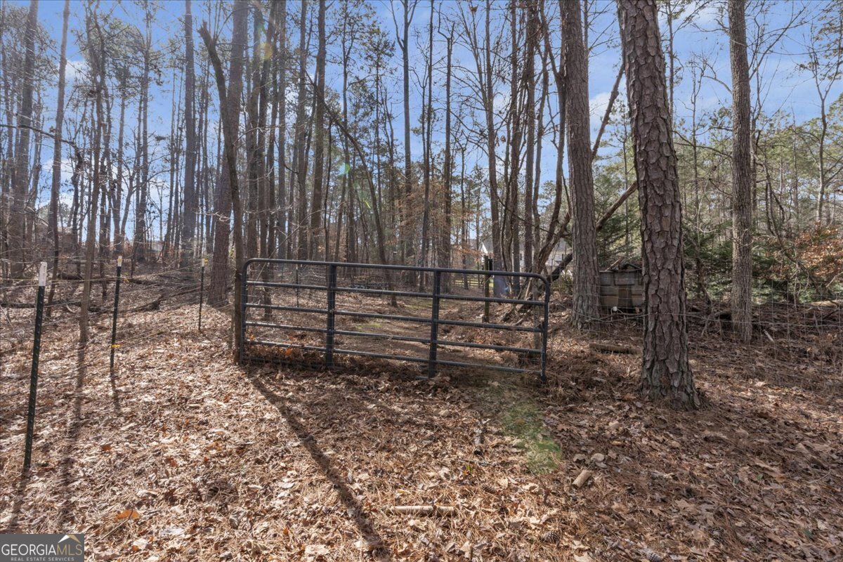 1700 Bailey Creek Road Conyers - 23
