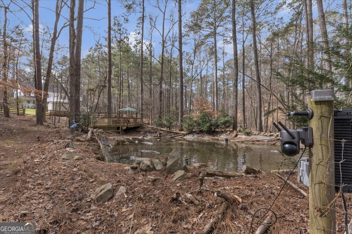 1700 Bailey Creek Road Conyers - 24
