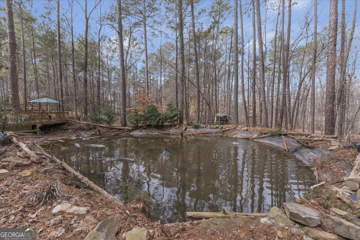 1700 Bailey Creek Road Conyers - 25