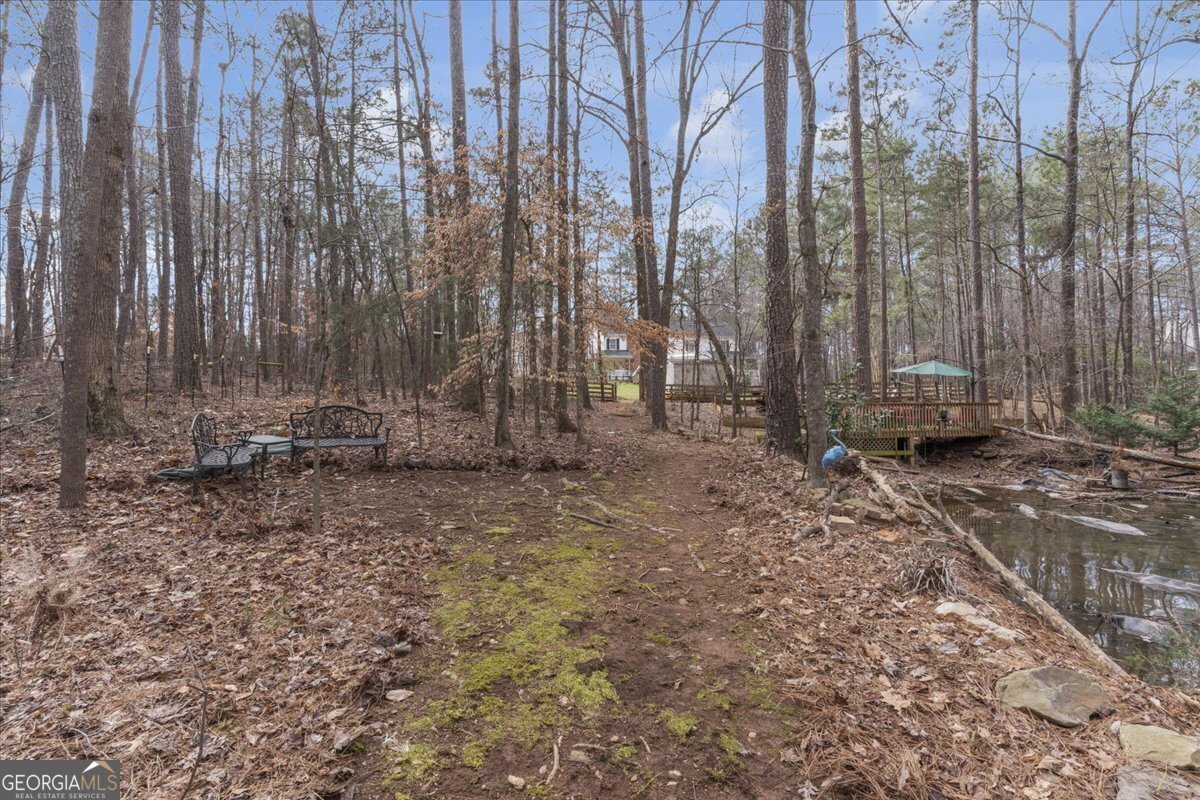 1700 Bailey Creek Road Conyers - 26