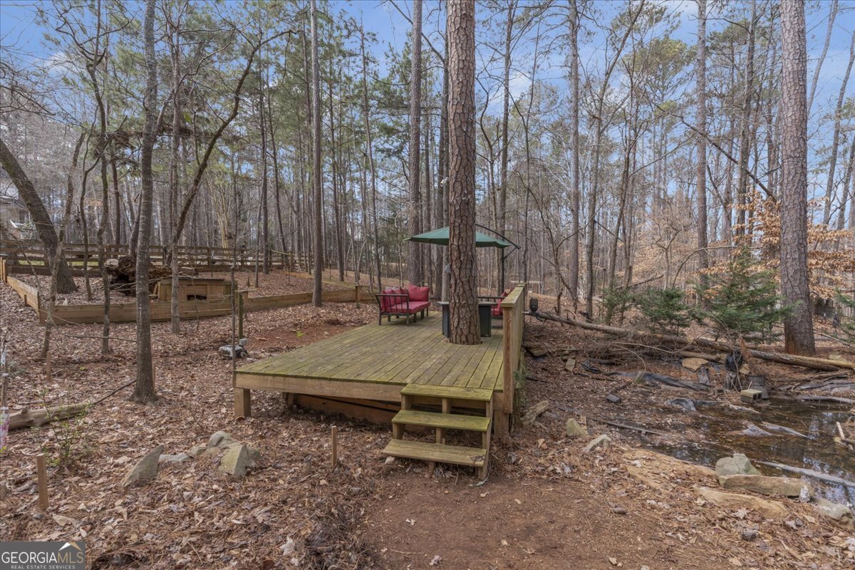 1700 Bailey Creek Road Conyers - 27