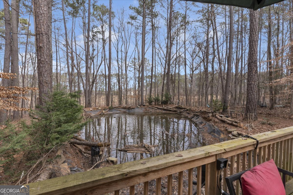 1700 Bailey Creek Road Conyers - 30