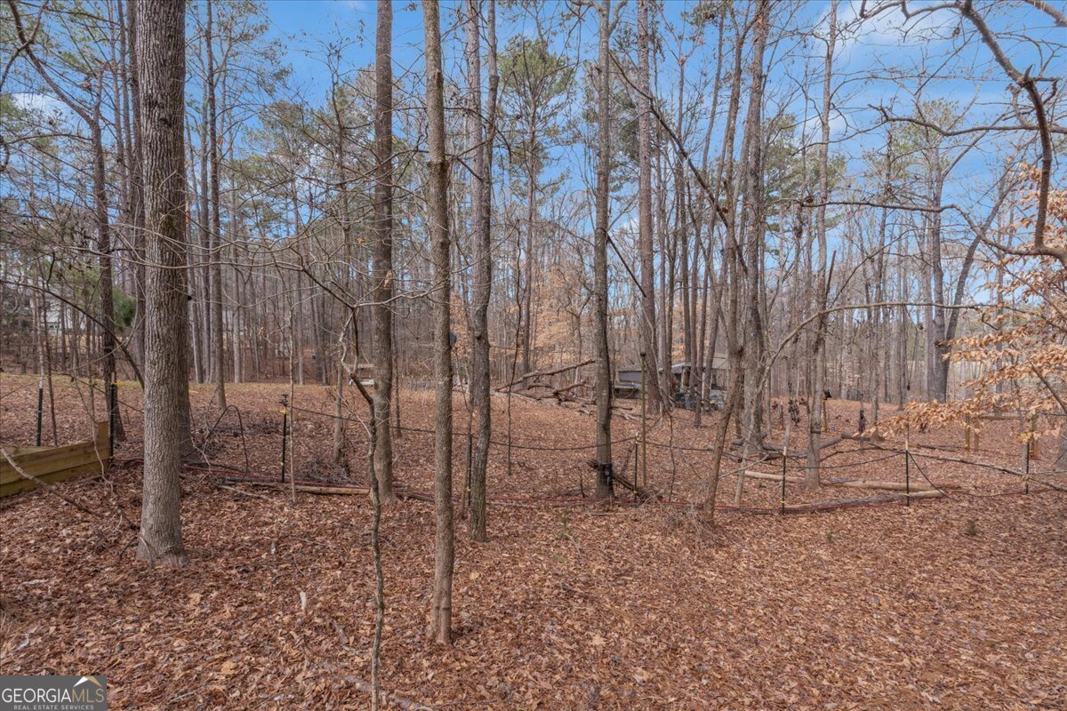 1700 Bailey Creek Road Conyers - 32