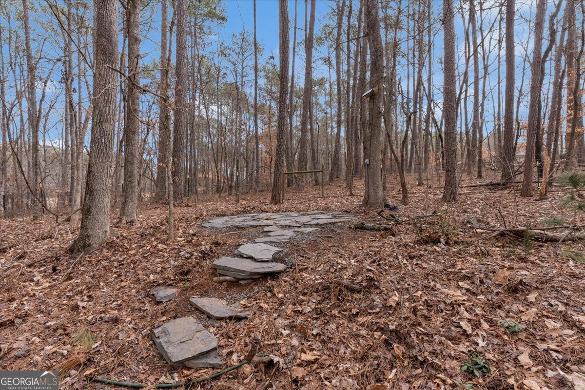 1700 Bailey Creek Road Conyers - 33
