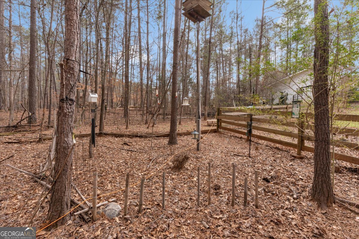1700 Bailey Creek Road Conyers - 34