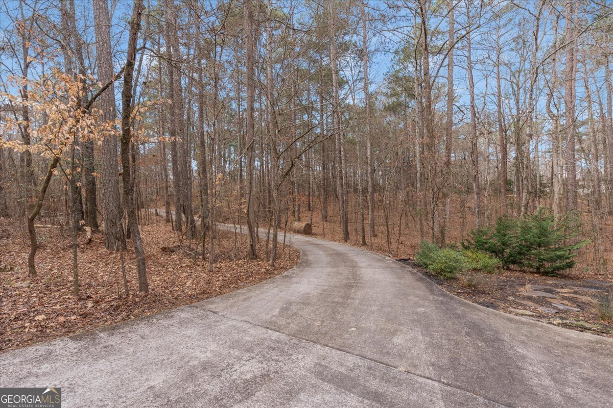 1700 Bailey Creek Road Conyers - 40