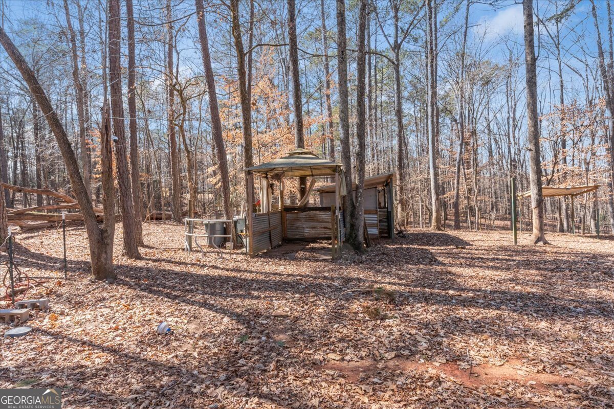 1700 Bailey Creek Road Conyers - 51