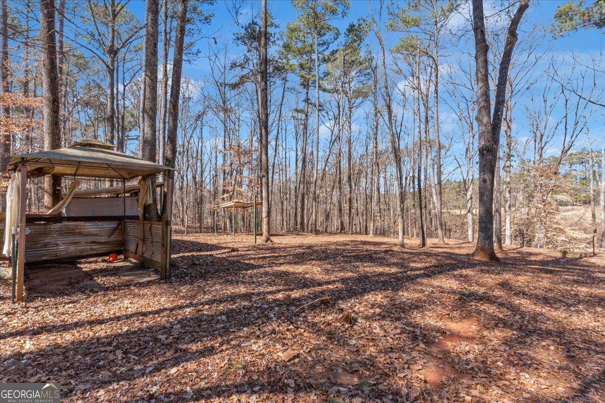 1700 Bailey Creek Road Conyers - 53