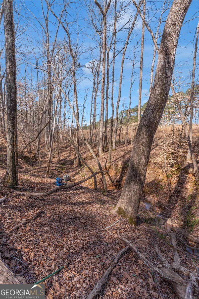 1700 Bailey Creek Road Conyers - 54