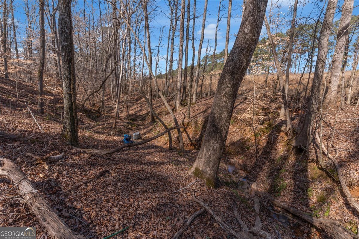 1700 Bailey Creek Road Conyers - 55