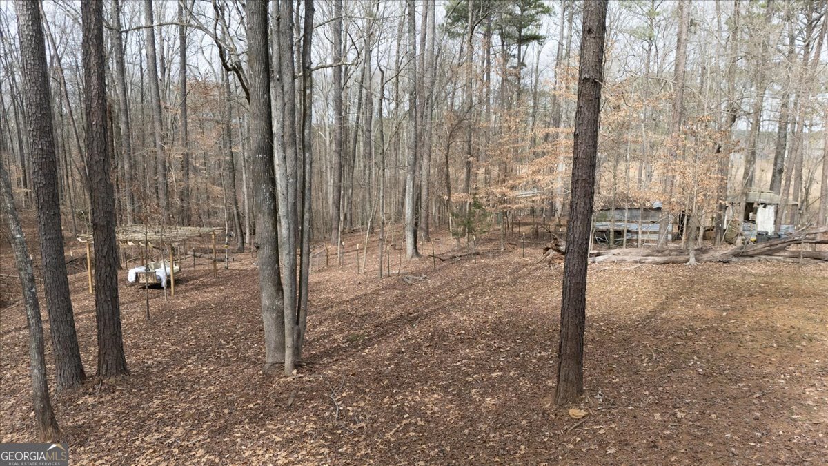 1700 Bailey Creek Road Conyers - 60