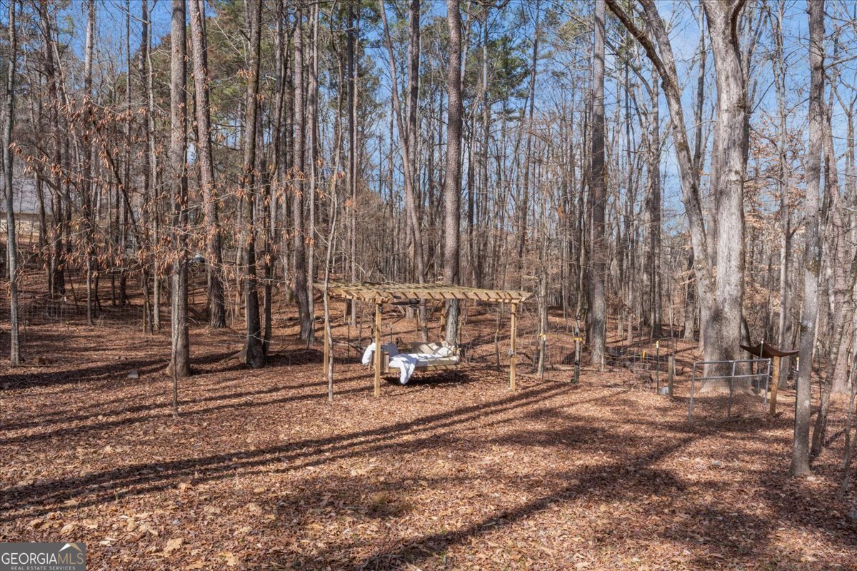 1700 Bailey Creek Road Conyers - 9