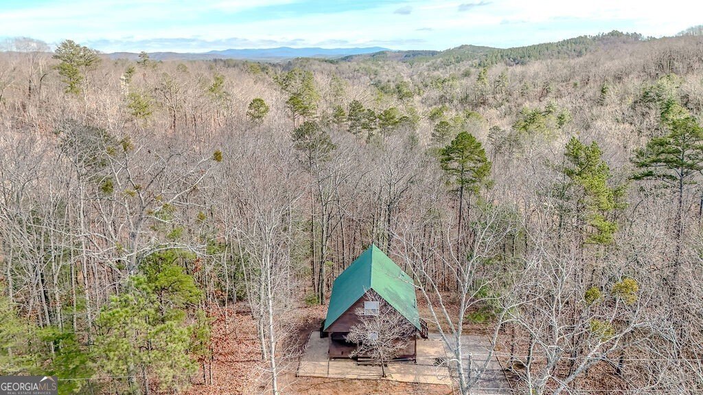 937 Aurora Lane Ranger - 38