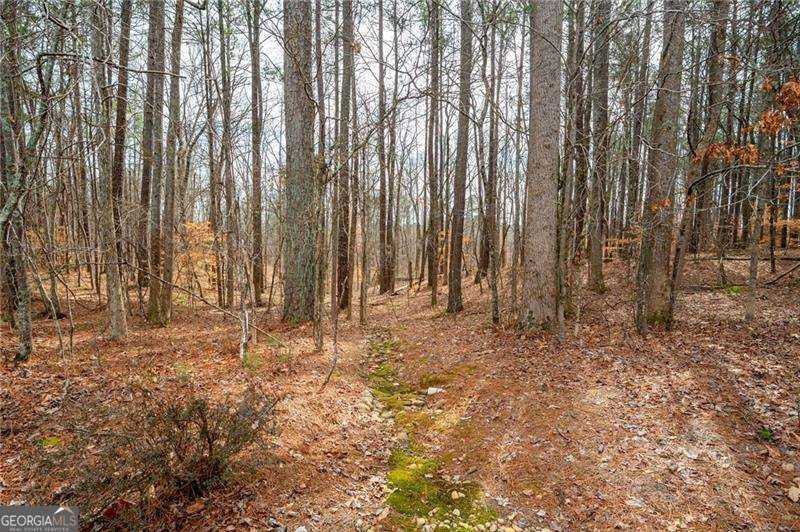 3201 Hobsons Ridge Trail Acworth - 92