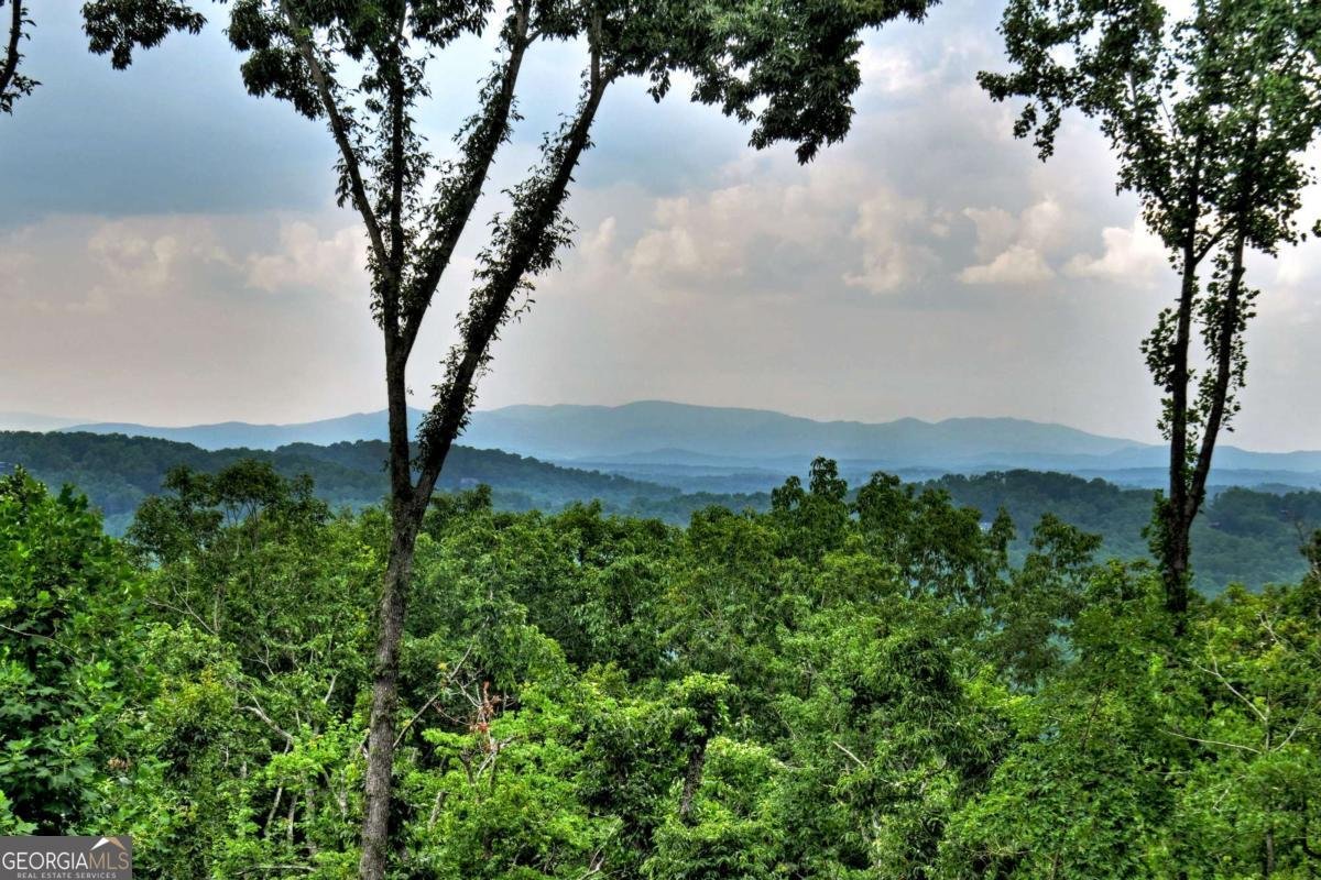 415 Green Ridge Trail Blue Ridge - 2