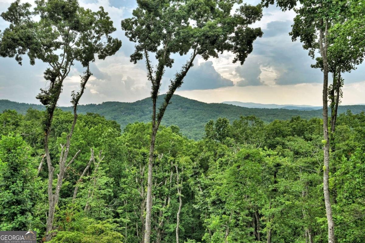 415 Green Ridge Trail Blue Ridge - 28