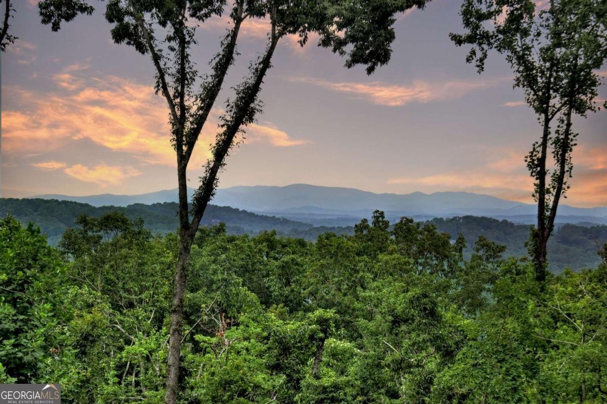 415 Green Ridge Trail Blue Ridge - 73