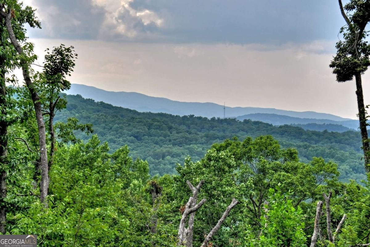 415 Green Ridge Trail Blue Ridge - 74