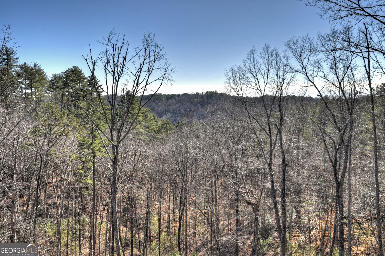 185 Sundown Trail Ellijay - 3