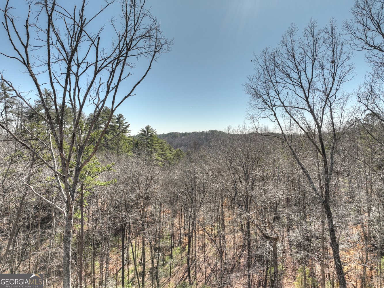 185 Sundown Trail Ellijay - 36