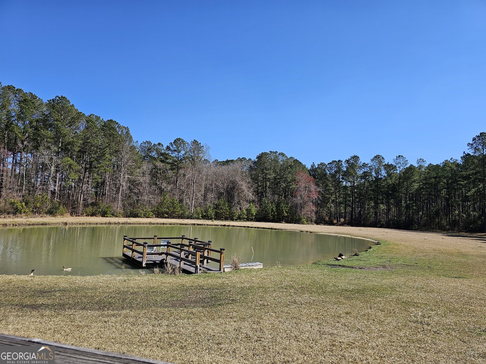 1293 Pine Ridge Drive Claxton - 58