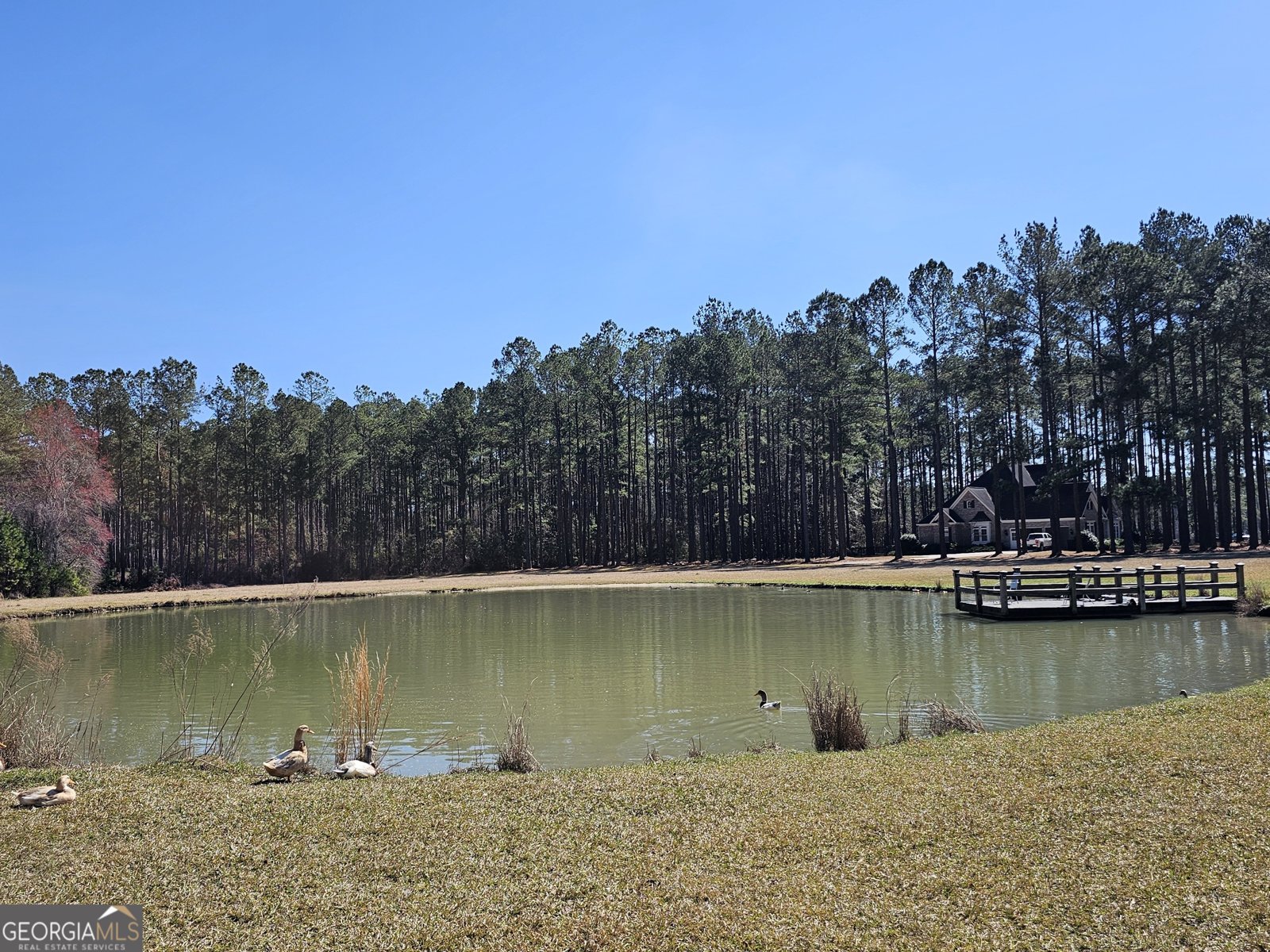 1293 Pine Ridge Drive Claxton - 60