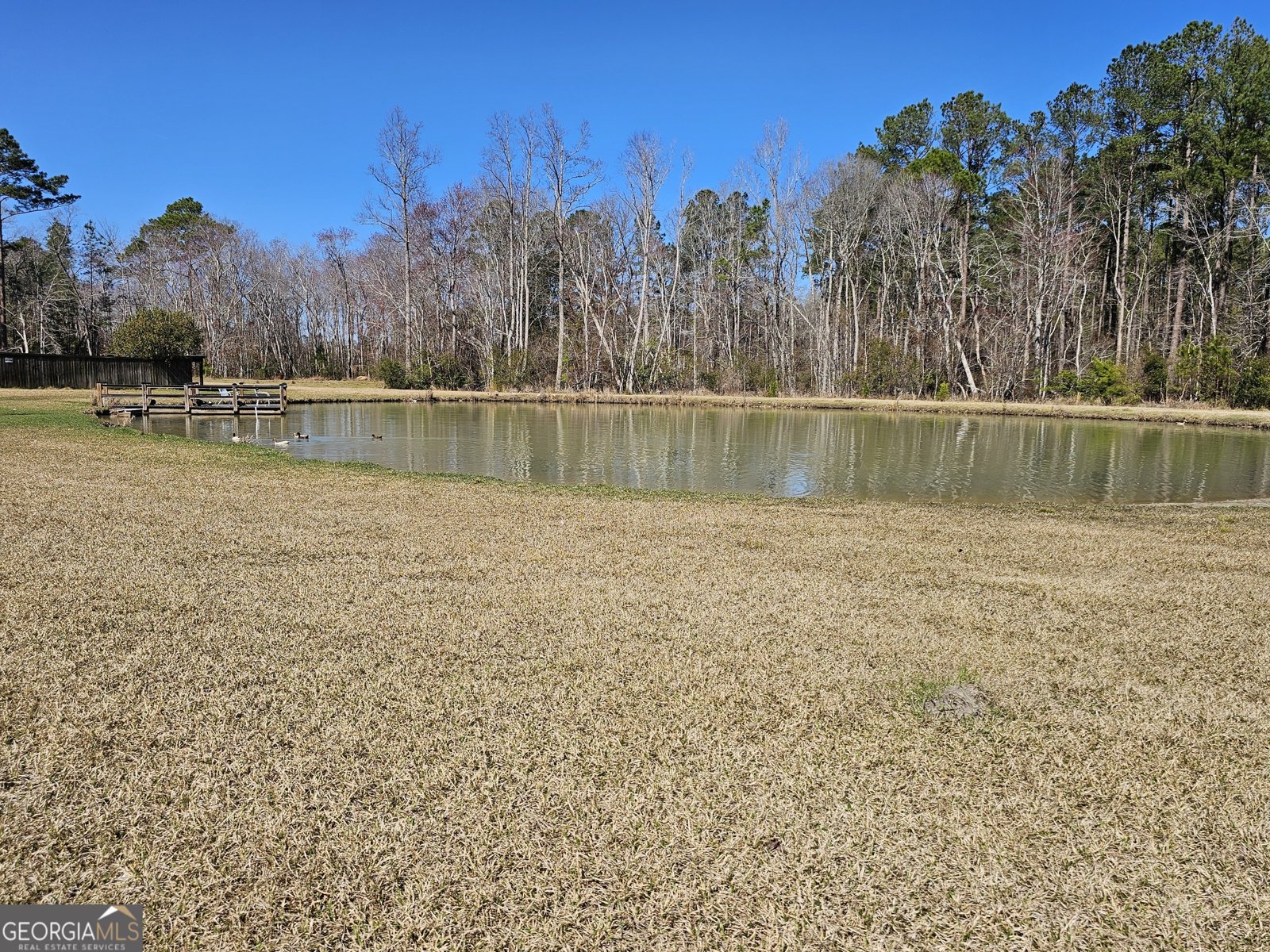 1293 Pine Ridge Drive Claxton - 62