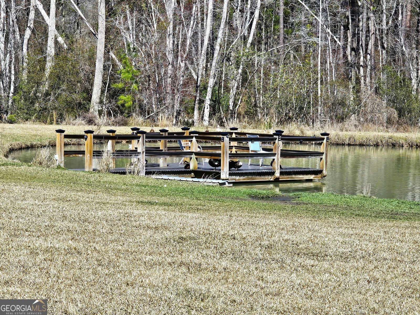 1293 Pine Ridge Drive Claxton - 63
