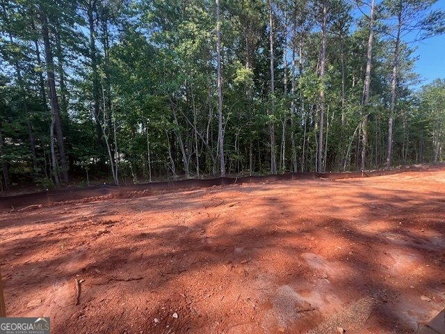 642 Presley Farm Parkway Rockmart - 10