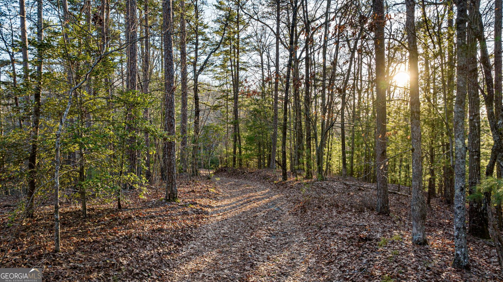 178 Arp Road Mineral Bluff - 10