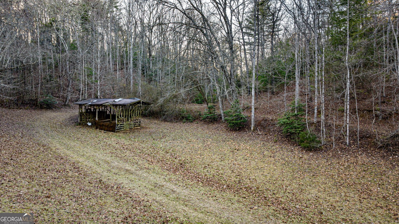 178 Arp Road Mineral Bluff - 4