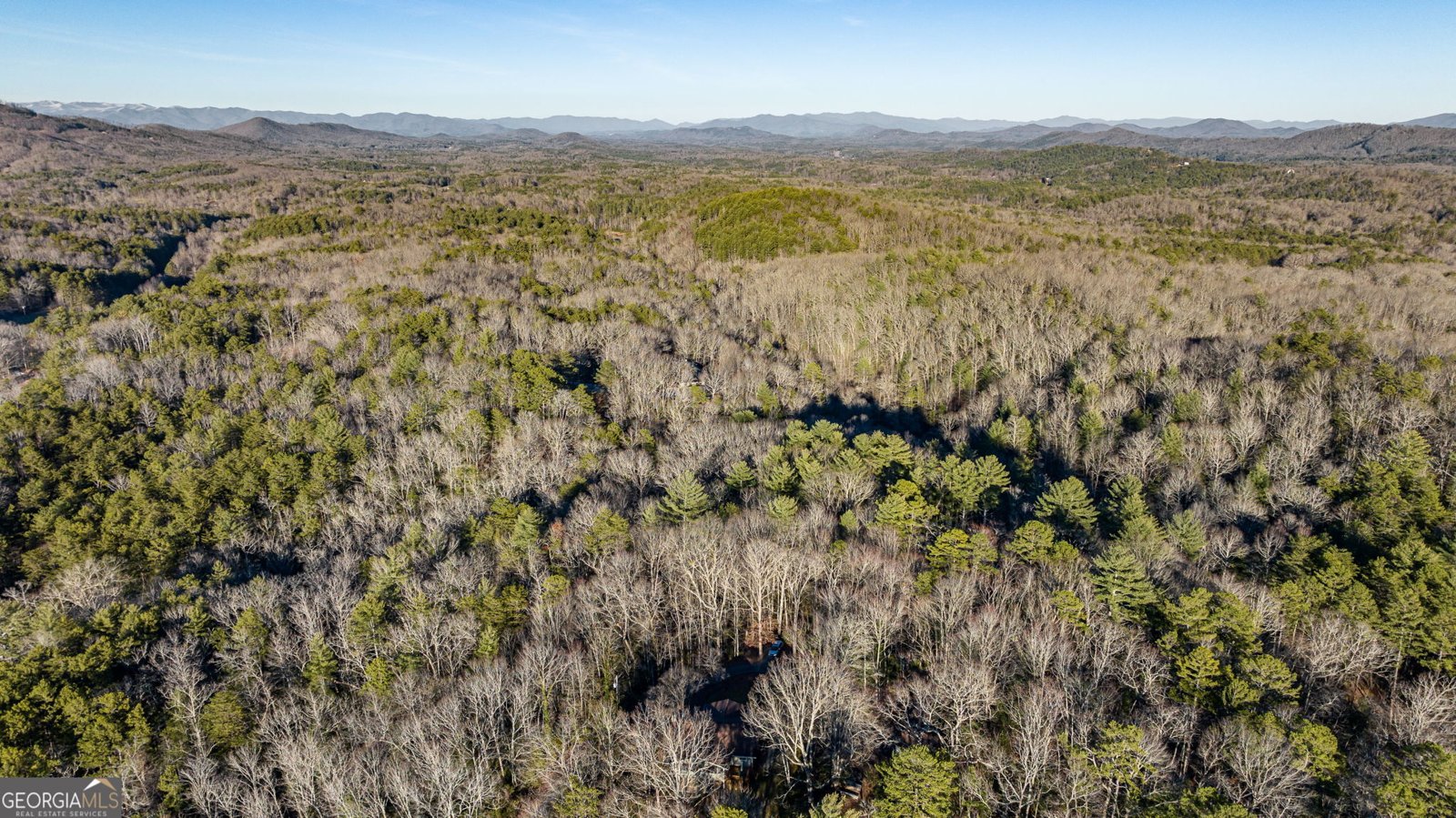 178 Arp Road Mineral Bluff - 58